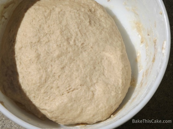 Kneaded Cinnamon Roll Dough Before First Rise BakeThisCake
