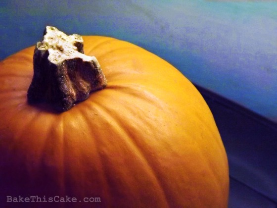 Small Pumpkin for Roasting Bake This Cake